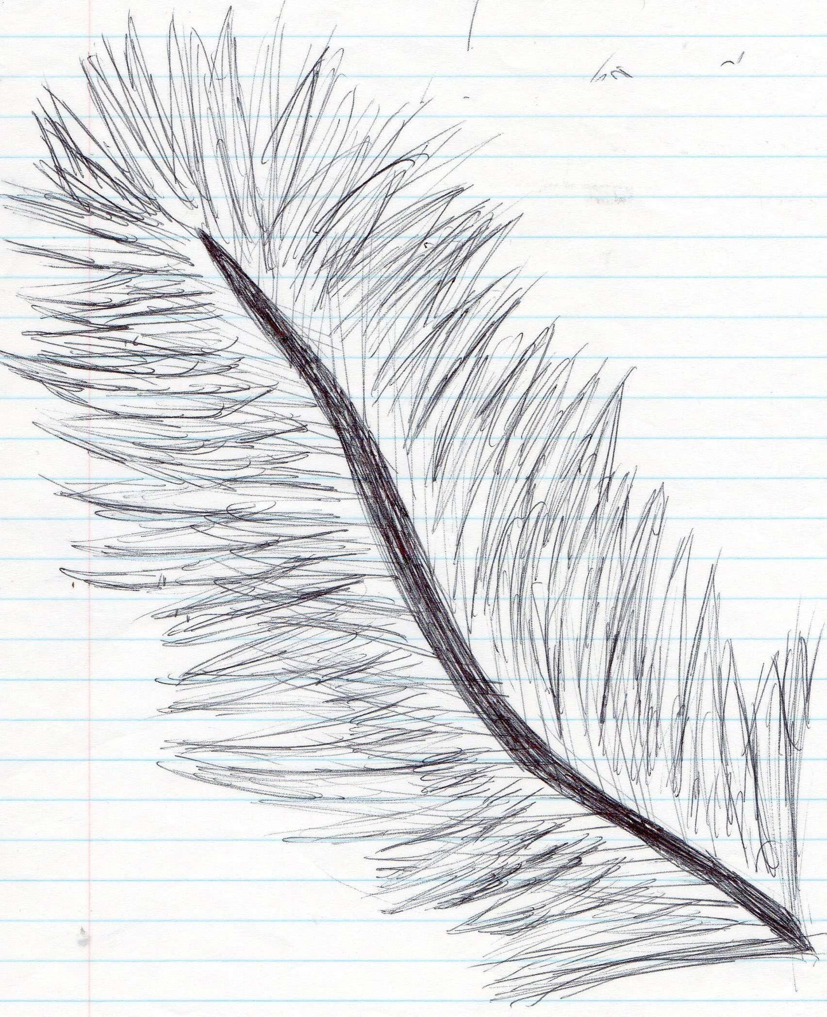 Eighth drawing Single closed angel wing
